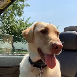 Meet your Posher, Brenda